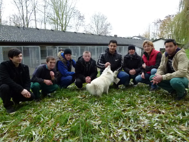 Ein Gruppenbild vom Arbeitseinsatz im Tierheim Hameln