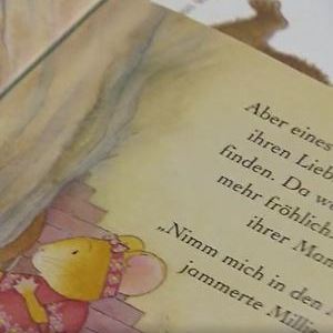 Eine Abbildung eines Kinderbuches
