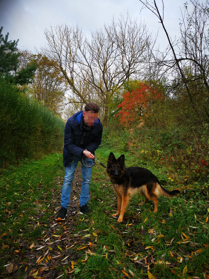Ein Gefangener beim Spaziergang mit einem Hund aus dem Tierheim Hameln