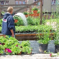 Fachstufenausbildung Gärtnerei